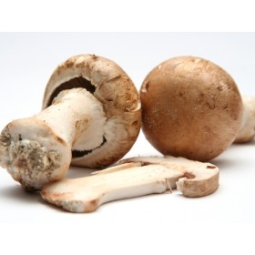 Champignons brun bio ~ 1kg - Légumes bio
