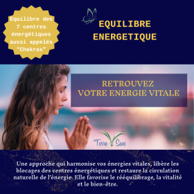 Séance Equilibre Energétique