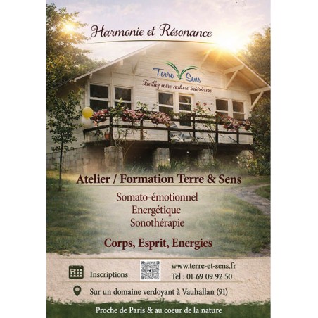 Formation Harmonie et Résonance Niveau 1