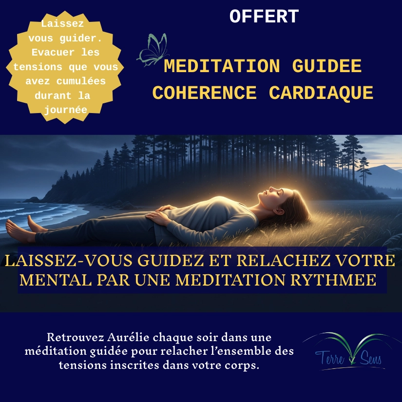 Séance courte